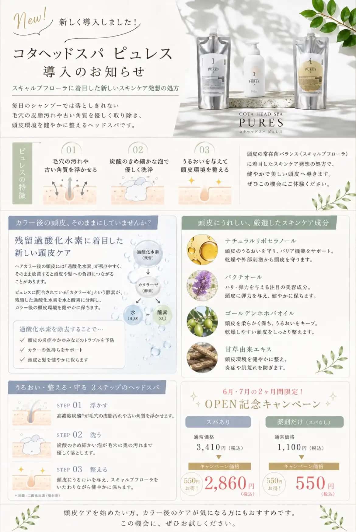 祝、2周年✨